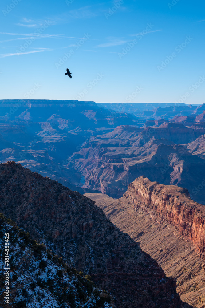 Fototapeta premium Bird Flying Over the Grand Canyon