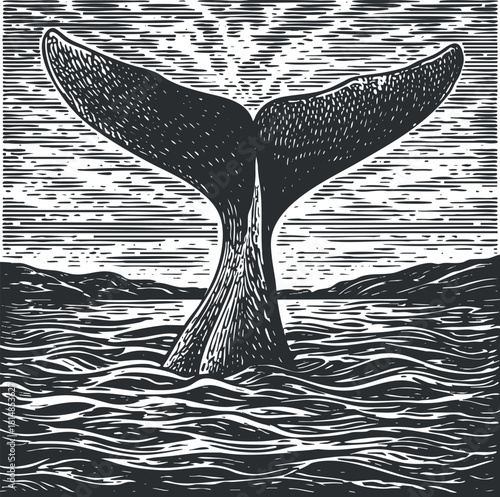 Vintage black and white vector illustration of a whale tail emerging from the ocean, ideal for marine life themes and environmental designs