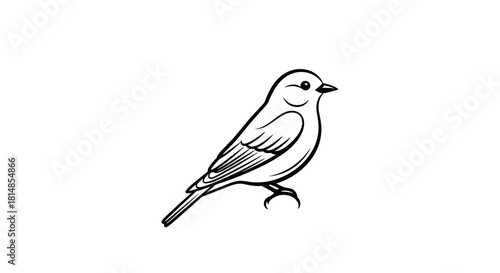 A simple black and white line drawing of a small bird perched on a branch.