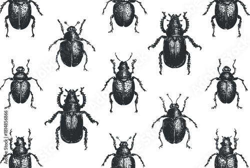 Vintage black and white vector illustration featuring a detailed pattern of various beetles for decorative and design projects