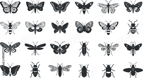 Collection of black and white vector illustrations featuring various insects including butterflies, bees, and beetles for design projects