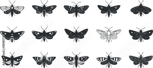 Set of minimalist black silhouette vector illustrations of various butterfly species for decorative and design projects