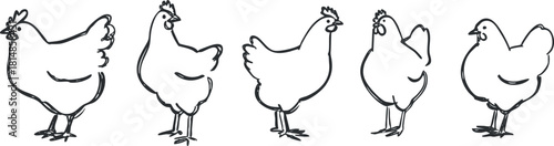 Playful black and white vector illustration of a chicken set showcasing various poses for farm-themed designs