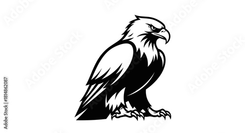 Majestic eagle illustration showcasing sharp details and powerful presence perfect for design.
