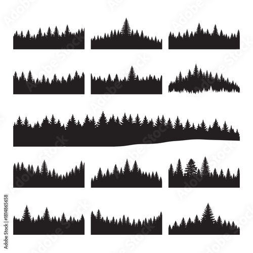 Silhouette of pine trees, evergreen forest landscape, nature scene at dusk, black and white tree line