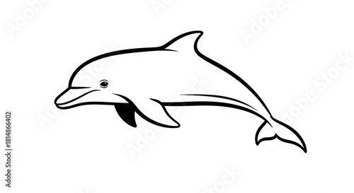 Dolphin illustration in black and white a beautiful marine mammal.