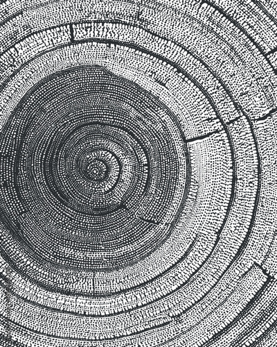 Abstract black and white vector illustration of tree rings, showcasing natural growth patterns for eco-themed designs
