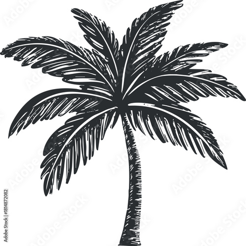 Stylized black and white vector illustration of a palm tree with detailed leaves for tropical-themed designs