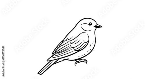 Simple Line Art Drawing of a Small Bird Perched.