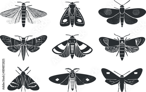 Stylized black and white vector illustration collection of various moths and butterflies for nature-themed design projects