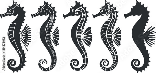 Stylized black and white vector illustration set of seahorses suitable for marine-themed design projects and branding.