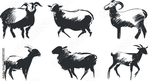Hand-drawn vector illustration set of six goats in various poses, perfect for farm-related design projects.