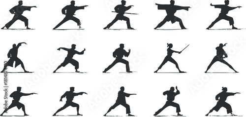 Silhouette vector icon set showcasing various martial arts poses and movements for fitness and sports design projects