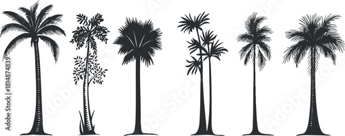 Silhouette vector icon set showing various palm trees in a minimalist style for tropical-themed design projects