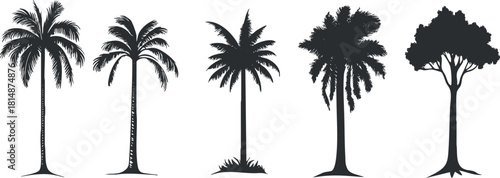 Silhouette vector icon set of various palm trees in black and white for tropical design projects
