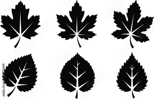 Leaf silhouettes showcasing various shapes and designs for creative projects and nature-themed artwork 