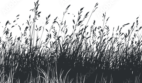 Silhouette of wild grass in a black and white vector illustration showing natural foliage.