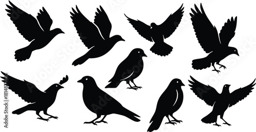 Black silhouette birds in various poses create a dynamic and artistic vector illustration 