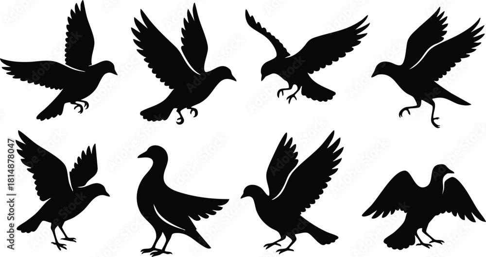 Obraz premium Various bird silhouettes showcasing different flying poses for creative projects and designs 