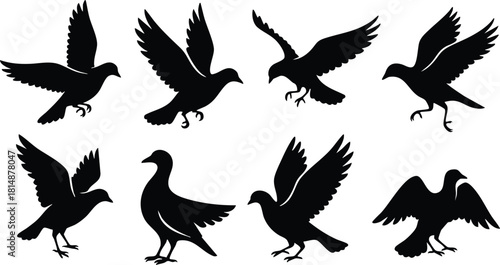 Various bird silhouettes showcasing different flying poses for creative projects and designs 