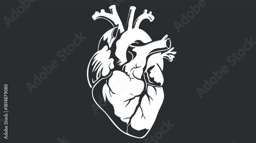 Black and white anatomical heart illustration, ideal for medical designs and educational purposes.