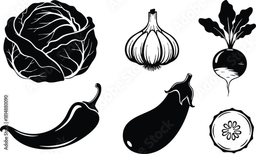 Fresh vegetables illustration featuring cabbage, garlic, radish, eggplant, chili pepper, and cucumber in monochrome design 