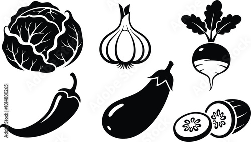 Fresh vegetables collection including cabbage, garlic, chili, eggplant, radish, and cucumber for healthy eating 