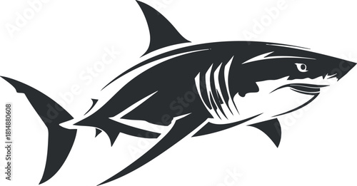 Black and white silhouette of a shark with sharp features, illustrating marine wildlife.