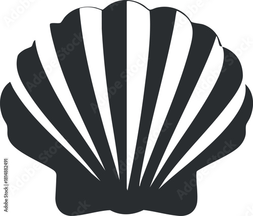 Black and white illustration of a stylized seashell with bold, curving lines.