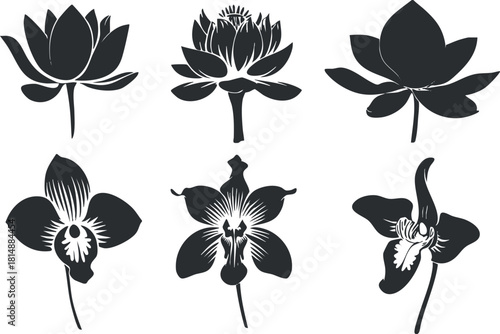 Set of black and white silhouette illustrations of lotus and orchid flowers.