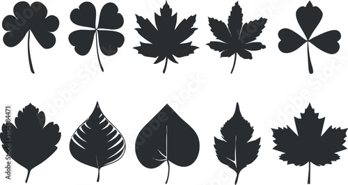 Collection of black silhouette leaves including clover, maple, and oak on white background.