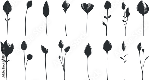 Minimalist black and white silhouette illustration of various stylized flower stems and buds.