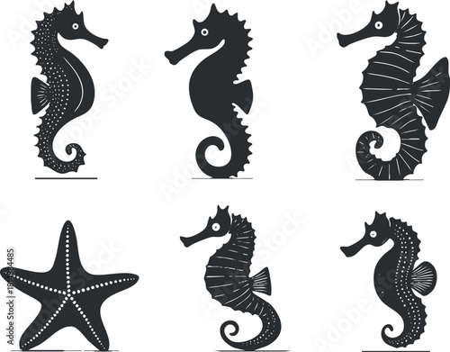 Black silhouette illustrations of seahorses and starfish, showcasing marine life in a stylized design.