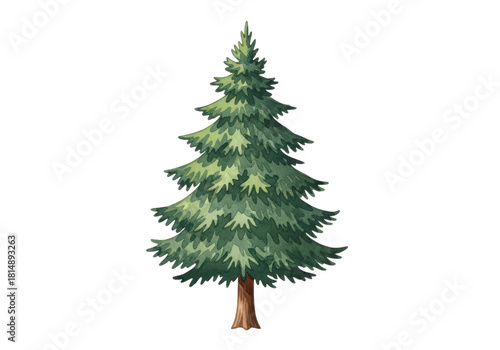 Watercolor illustration of a lush green pine tree with a brown trunk, isolated on transparent background for easy design use