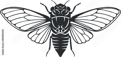 Stylized black and white vector illustration of a bee, suitable for nature-themed designs and educational materials