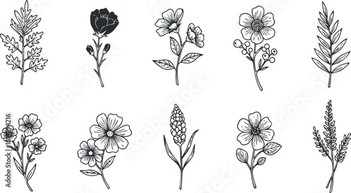 Elegant black and white vector illustration set of various floral designs suitable for botanical art, branding, and decoration