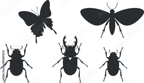 Silhouette vector illustration collection of various insects including a butterfly, moth, and beetles for nature and design projects