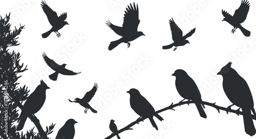 Silhouette vector illustration of birds in flight and perched on branches, ideal for nature-themed designs and decor