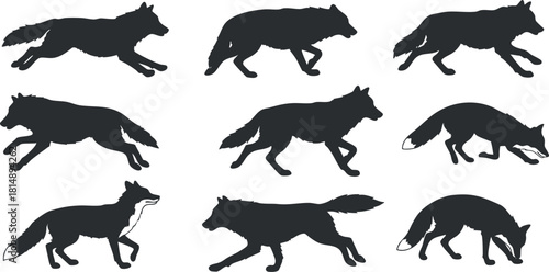 Silhouette vector icon set showing various running wolf poses, perfect for wildlife-themed designs and branding.