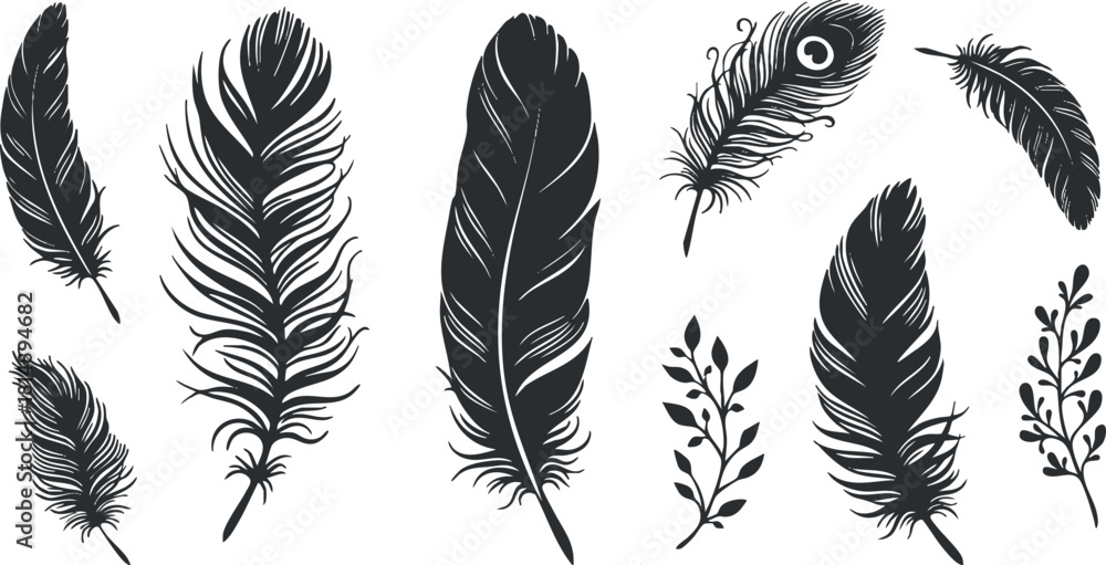 Obraz premium Elegant collection of black feather vector illustrations, featuring various styles and shapes for decorative design projects