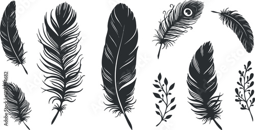 Elegant collection of black feather vector illustrations, featuring various styles and shapes for decorative design projects
