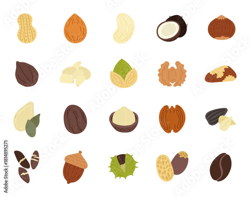 Healthy nut set in scandinavian style, peanut, almond, cashew, coconut, hazelnut, pistachio, nutlet, pumpkin seed, nutmeg, pecan, sunflower seed, acorn, chestnut, coffee bean