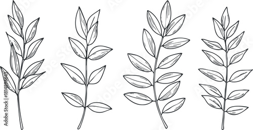 Outline vector illustration of various leaf branches in a minimalist style for botanical design projects