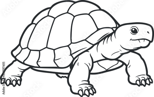 Outline vector illustration of a turtle featuring a detailed shell design, ideal for educational materials and wildlife concepts