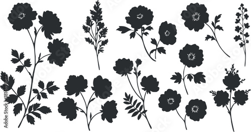 Silhouette vector illustration collection of various floral designs and botanical elements for decorative purposes