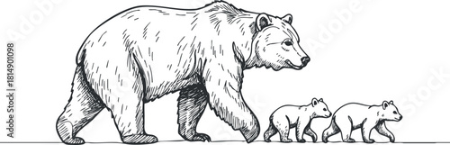 Hand-drawn vector illustration of a mother bear walking with her two cubs, perfect for nature-themed designs and educational materials
