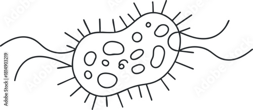 Outline vector illustration of a bacteria cell, suitable for biology and science education projects