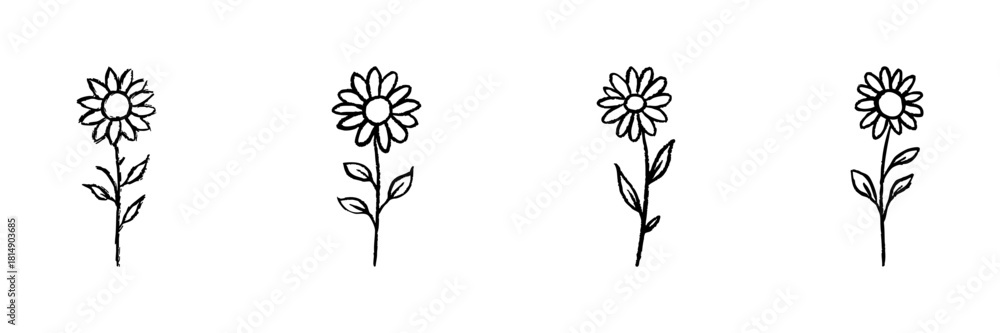 Naklejka premium Four Daisy Flowers Line Icon Set In Doodle Style. Nature, Growth, And Floral Design Outline Sketch Collection. Botanical Illustration. Hand Drawn Isolated Vector Illustration