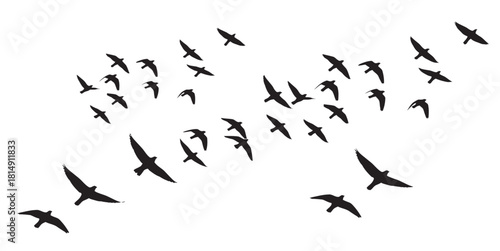 Silhouette of birds flying in formation against a white background