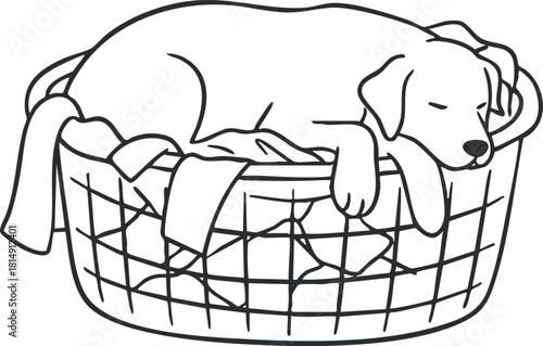 Adorable line art illustration of a sleeping dog nestled in a laundry basket, perfect for pet-themed design projects